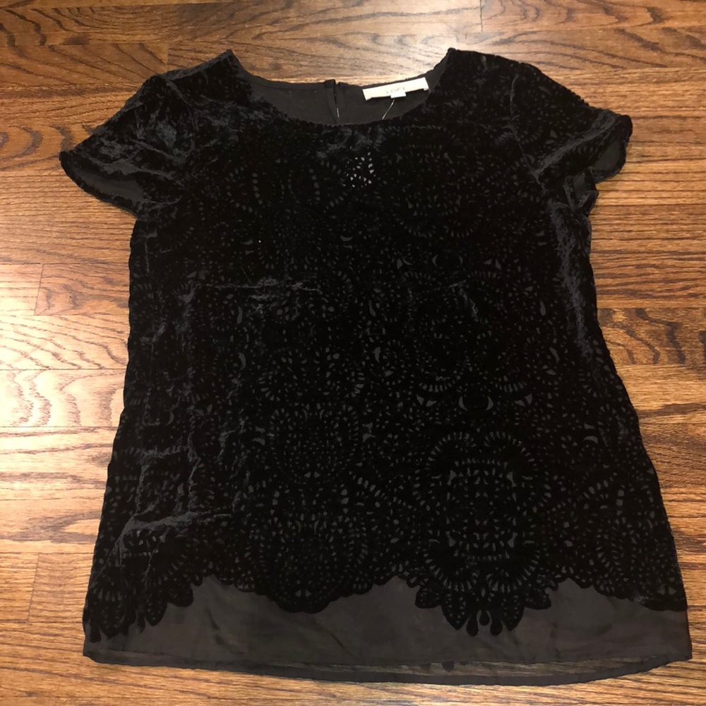 Loft velvet top